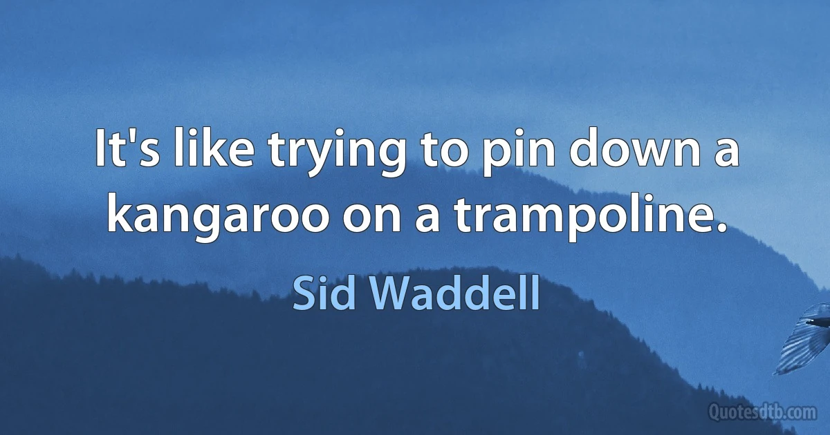 It's like trying to pin down a kangaroo on a trampoline. (Sid Waddell)