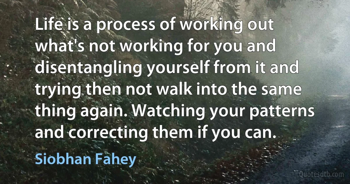 Life is a process of working out what's not working for you and disentangling yourself from it and trying then not walk into the same thing again. Watching your patterns and correcting them if you can. (Siobhan Fahey)