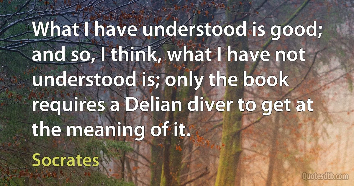 What I have understood is good; and so, I think, what I have not understood is; only the book requires a Delian diver to get at the meaning of it. (Socrates)