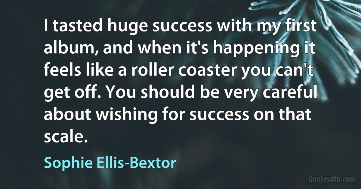 I tasted huge success with my first album, and when it's happening it feels like a roller coaster you can't get off. You should be very careful about wishing for success on that scale. (Sophie Ellis-Bextor)