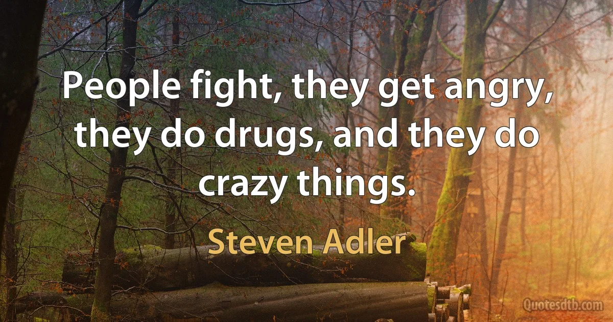 People fight, they get angry, they do drugs, and they do crazy things. (Steven Adler)