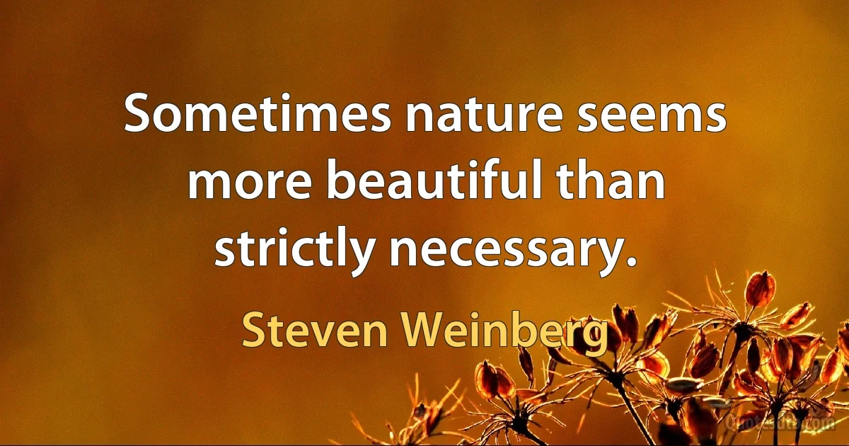 Sometimes nature seems more beautiful than strictly necessary. (Steven Weinberg)