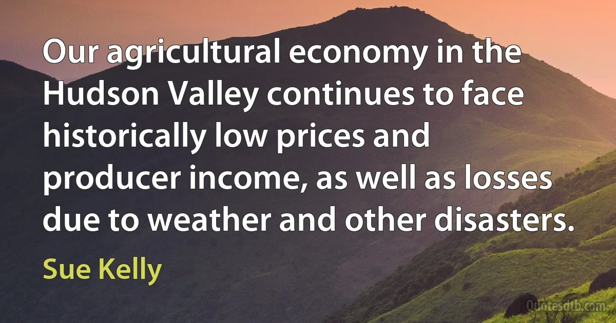 Our agricultural economy in the Hudson Valley continues to face historically low prices and producer income, as well as losses due to weather and other disasters. (Sue Kelly)