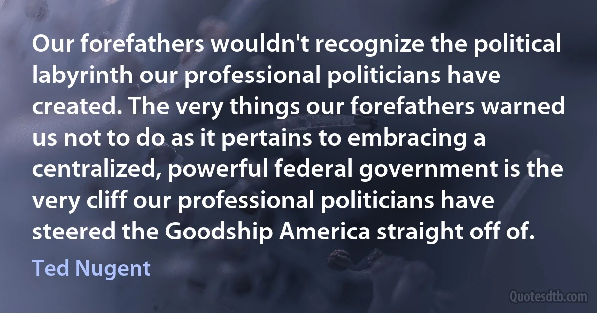 Our forefathers wouldn't recognize the political labyrinth our professional politicians have created. The very things our forefathers warned us not to do as it pertains to embracing a centralized, powerful federal government is the very cliff our professional politicians have steered the Goodship America straight off of. (Ted Nugent)