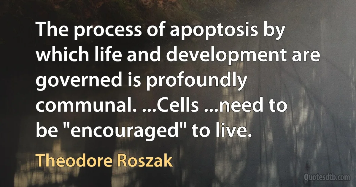 The process of apoptosis by which life and development are governed is profoundly communal. ...Cells ...need to be "encouraged" to live. (Theodore Roszak)