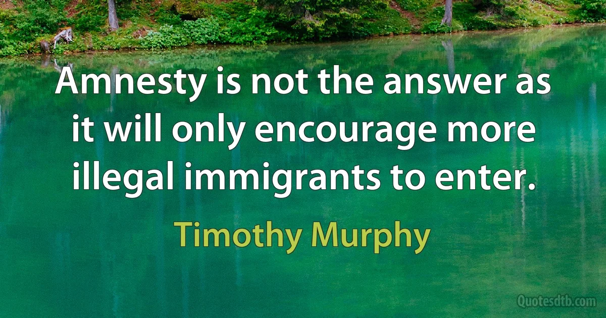 Amnesty is not the answer as it will only encourage more illegal immigrants to enter. (Timothy Murphy)