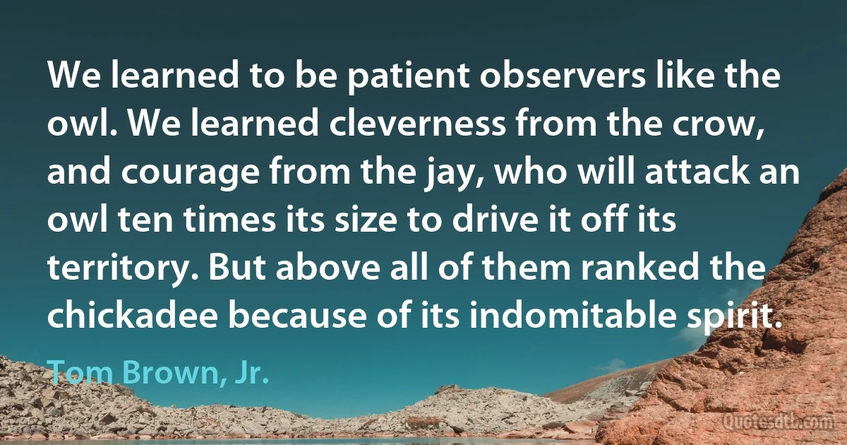 We learned to be patient observers like the owl. We learned cleverness from the crow, and courage from the jay, who will attack an owl ten times its size to drive it off its territory. But above all of them ranked the chickadee because of its indomitable spirit. (Tom Brown, Jr.)