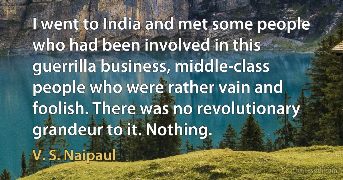 I went to India and met some people who had been involved in this guerrilla business, middle-class people who were rather vain and foolish. There was no revolutionary grandeur to it. Nothing. (V. S. Naipaul)