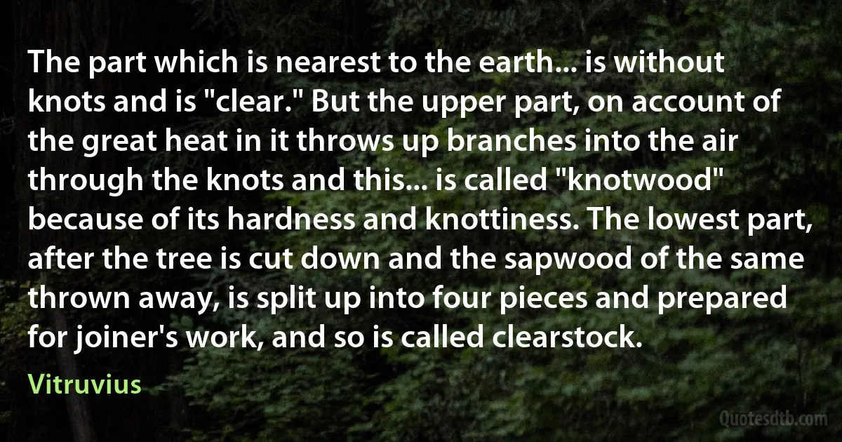 The part which is nearest to the earth... is without knots and is "clear." But the upper part, on account of the great heat in it throws up branches into the air through the knots and this... is called "knotwood" because of its hardness and knottiness. The lowest part, after the tree is cut down and the sapwood of the same thrown away, is split up into four pieces and prepared for joiner's work, and so is called clearstock. (Vitruvius)