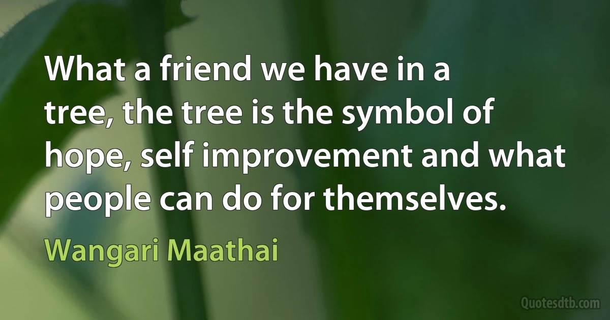 What a friend we have in a tree, the tree is the symbol of hope, self improvement and what people can do for themselves. (Wangari Maathai)