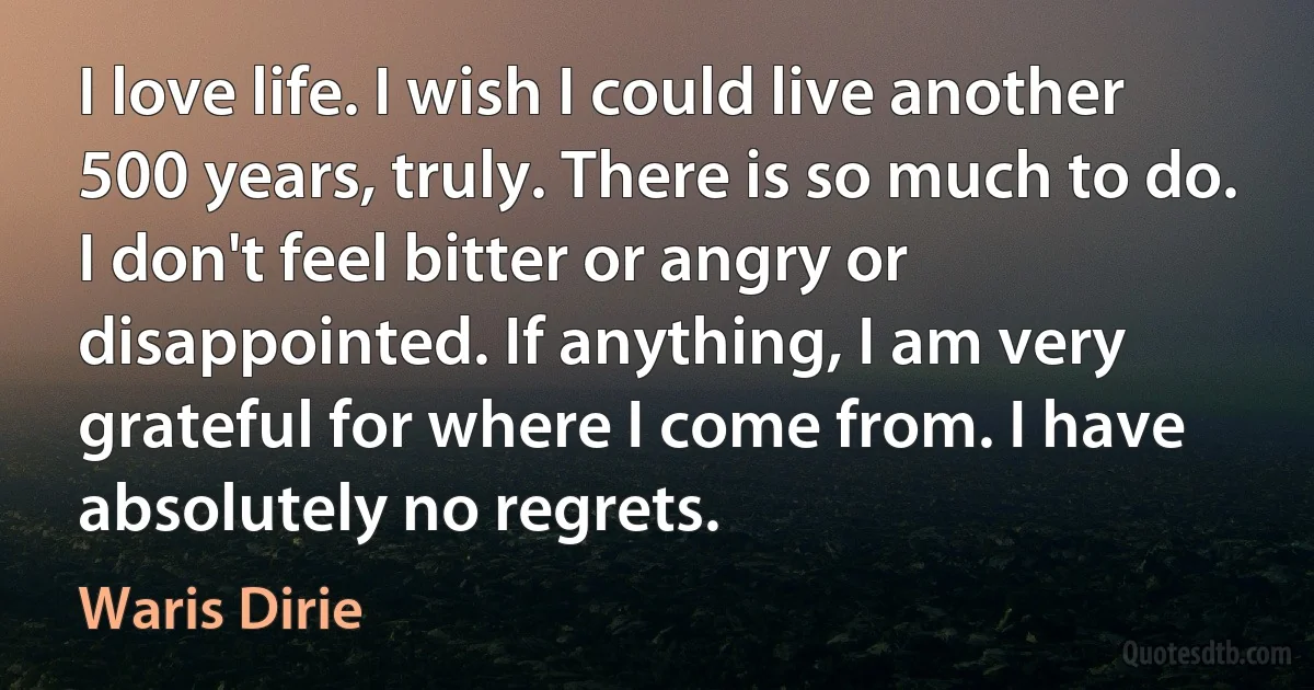 I love life. I wish I could live another 500 years, truly. There is so much to do. I don't feel bitter or angry or disappointed. If anything, I am very grateful for where I come from. I have absolutely no regrets. (Waris Dirie)