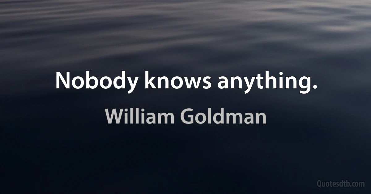 Nobody knows anything. (William Goldman)