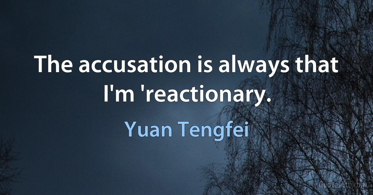 The accusation is always that I'm 'reactionary. (Yuan Tengfei)