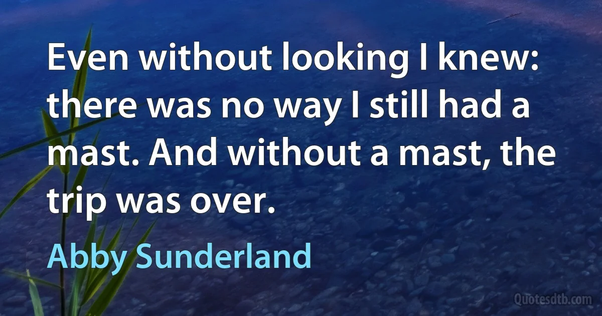 Even without looking I knew: there was no way I still had a mast. And without a mast, the trip was over. (Abby Sunderland)