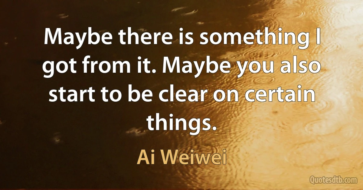 Maybe there is something I got from it. Maybe you also start to be clear on certain things. (Ai Weiwei)