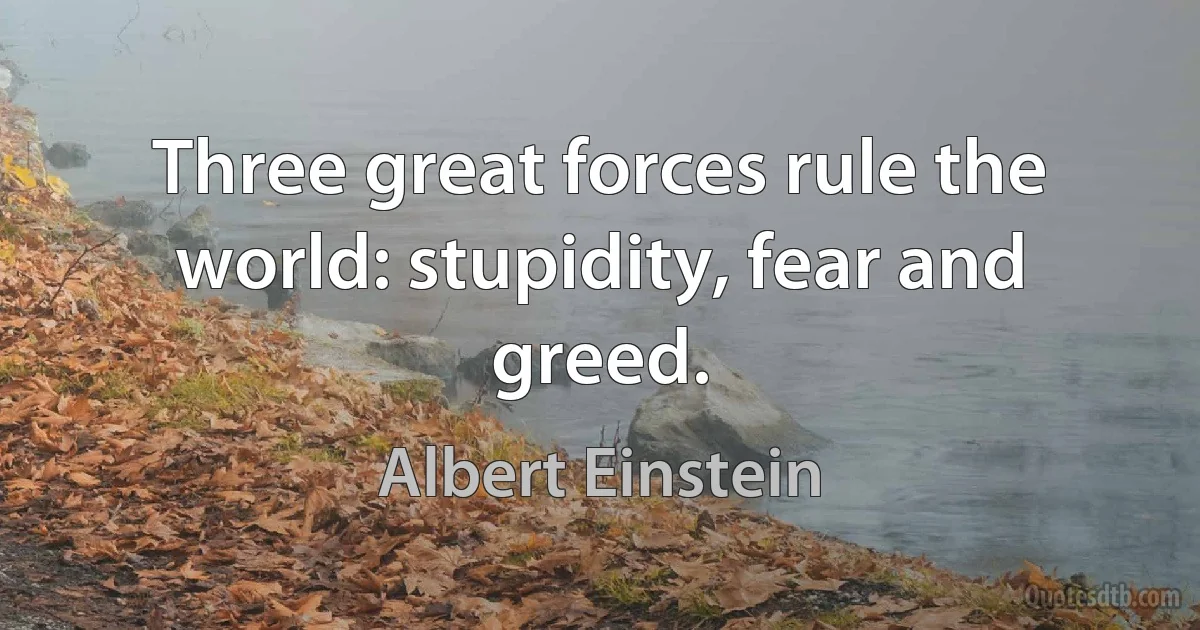 Three great forces rule the world: stupidity, fear and greed. (Albert Einstein)