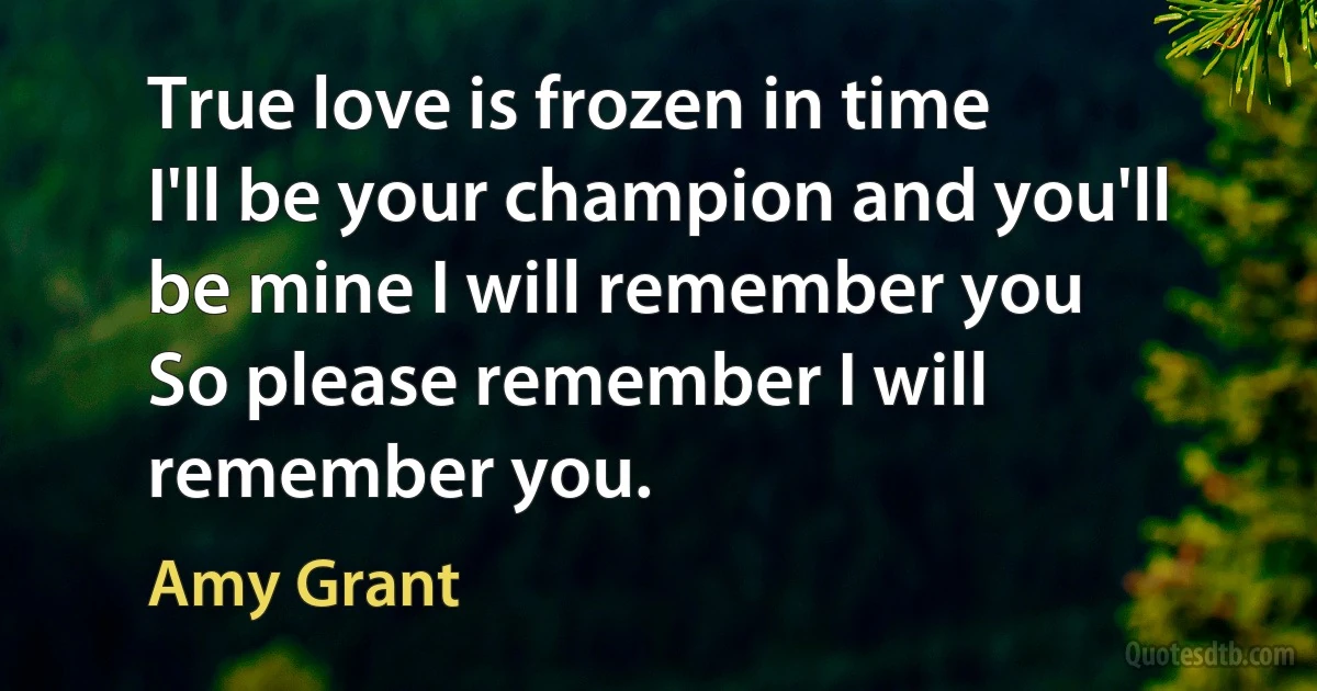 True love is frozen in time
I'll be your champion and you'll be mine I will remember you
So please remember I will remember you. (Amy Grant)