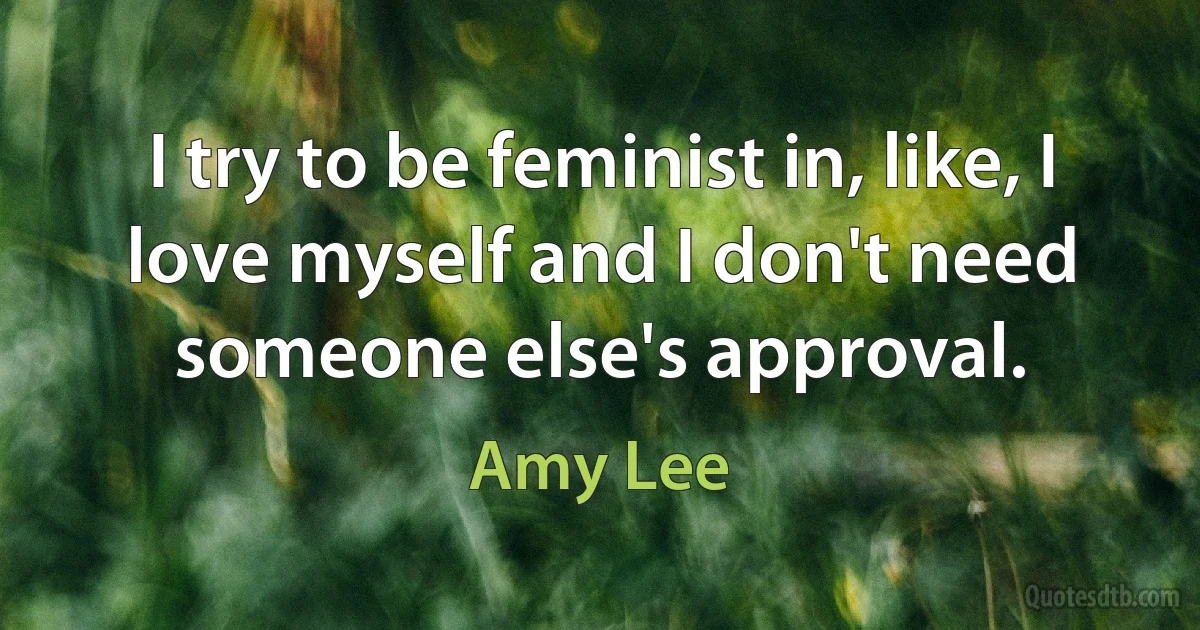 I try to be feminist in, like, I love myself and I don't need someone else's approval. (Amy Lee)