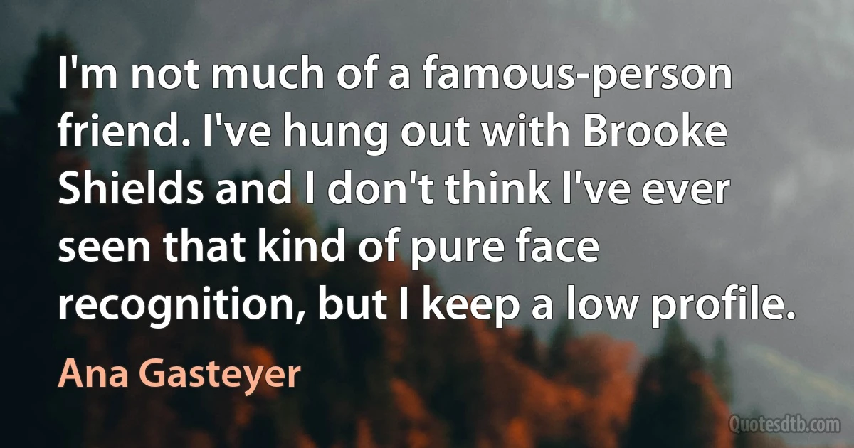 I'm not much of a famous-person friend. I've hung out with Brooke Shields and I don't think I've ever seen that kind of pure face recognition, but I keep a low profile. (Ana Gasteyer)