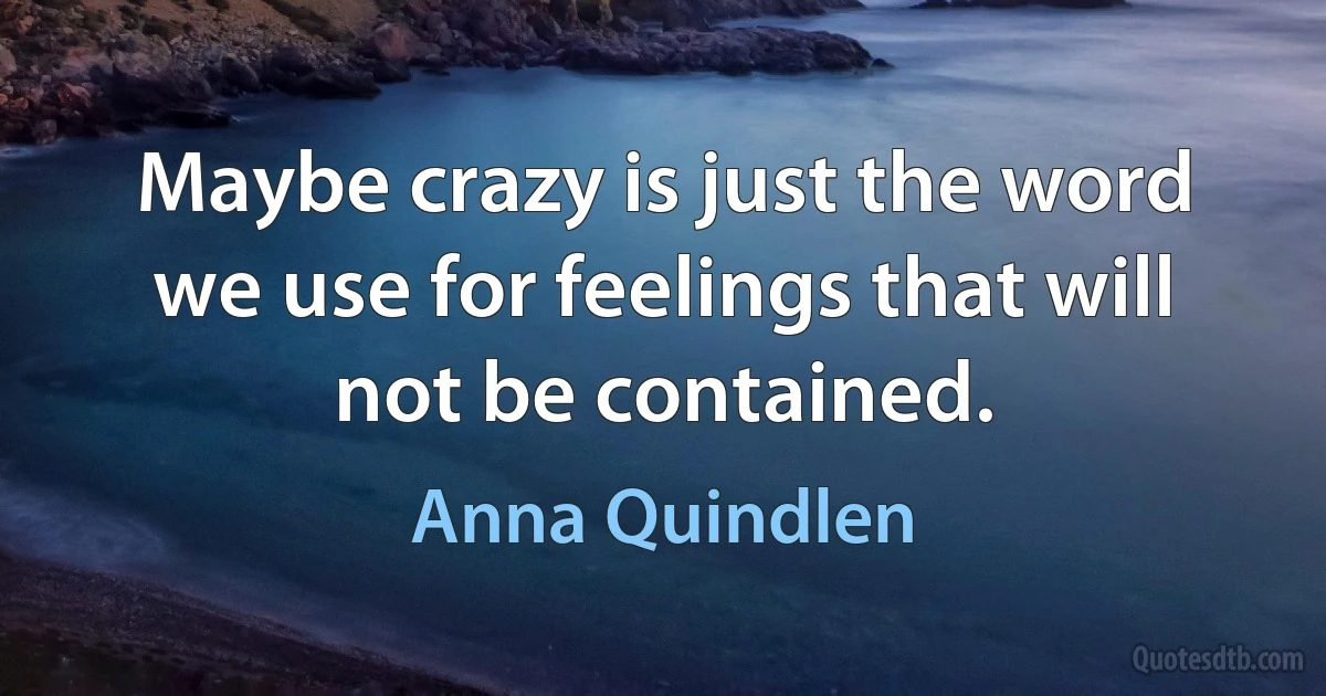 Maybe crazy is just the word we use for feelings that will not be contained. (Anna Quindlen)