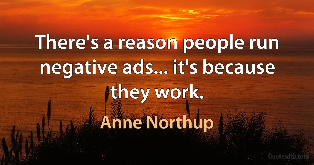 There's a reason people run negative ads... it's because they work. (Anne Northup)