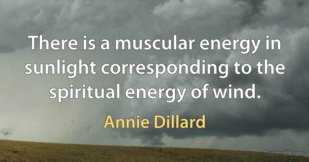 There is a muscular energy in sunlight corresponding to the spiritual energy of wind. (Annie Dillard)