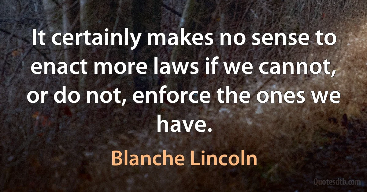 It certainly makes no sense to enact more laws if we cannot, or do not, enforce the ones we have. (Blanche Lincoln)