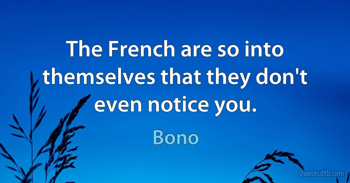 The French are so into themselves that they don't even notice you. (Bono)