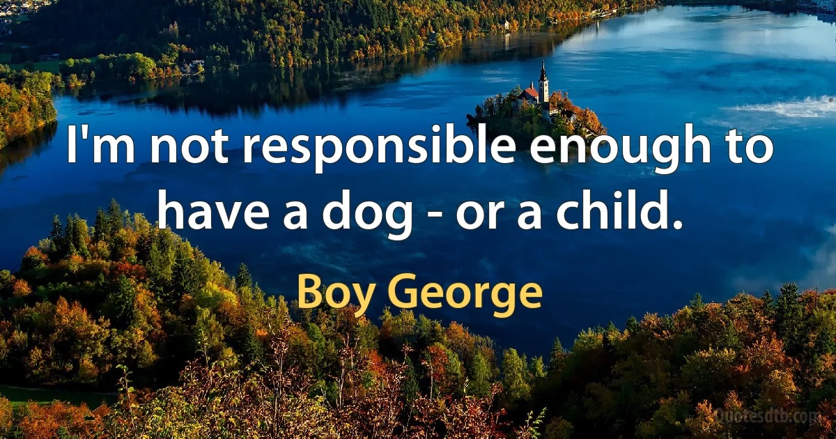 I'm not responsible enough to have a dog - or a child. (Boy George)