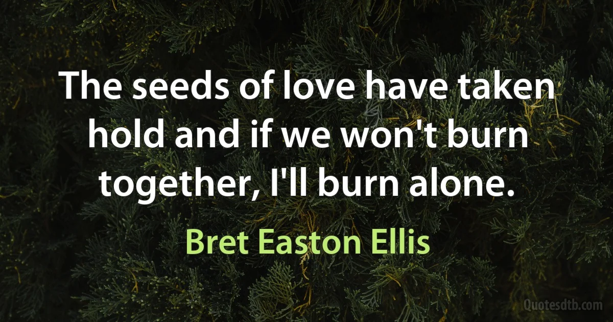 The seeds of love have taken hold and if we won't burn together, I'll burn alone. (Bret Easton Ellis)