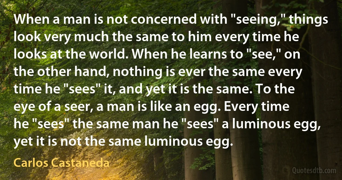 When a man is not concerned with "seeing," things look very much the same to him every time he looks at the world. When he learns to "see," on the other hand, nothing is ever the same every time he "sees" it, and yet it is the same. To the eye of a seer, a man is like an egg. Every time he "sees" the same man he "sees" a luminous egg, yet it is not the same luminous egg. (Carlos Castaneda)