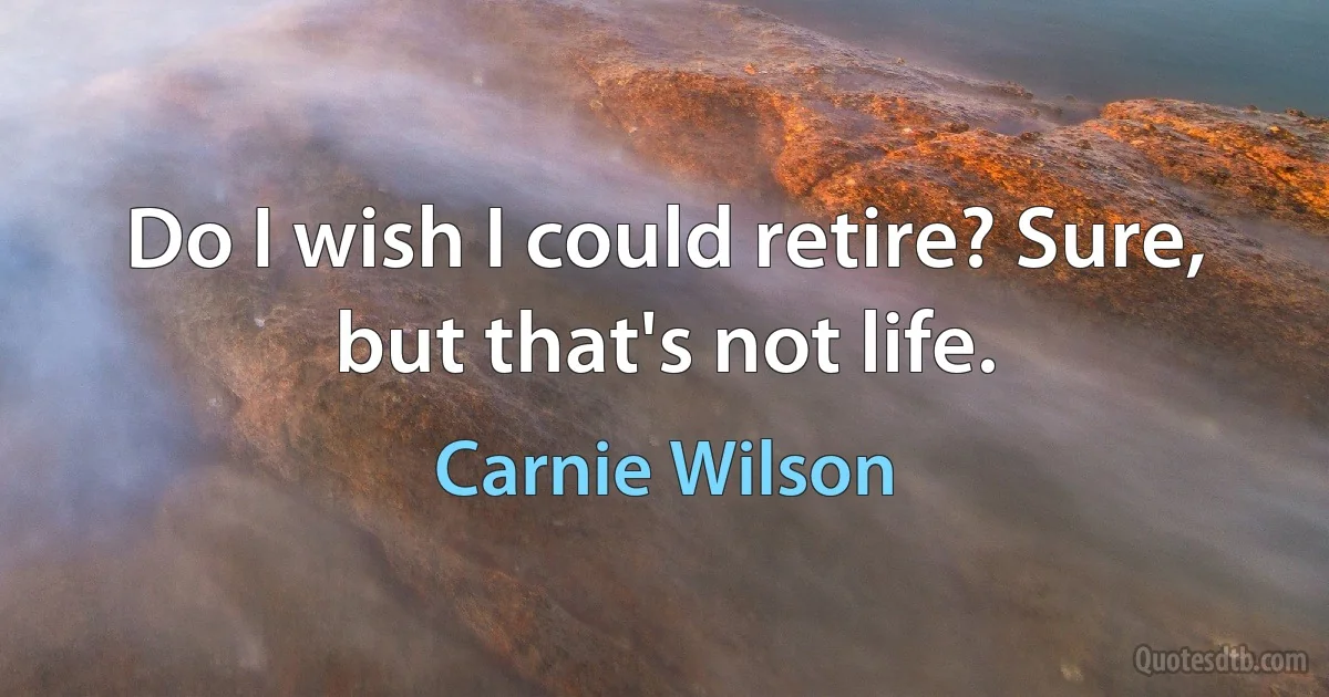 Do I wish I could retire? Sure, but that's not life. (Carnie Wilson)