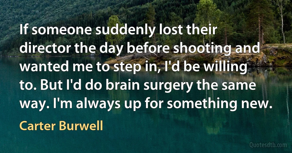 If someone suddenly lost their director the day before shooting and wanted me to step in, I'd be willing to. But I'd do brain surgery the same way. I'm always up for something new. (Carter Burwell)