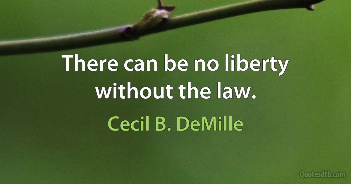 There can be no liberty without the law. (Cecil B. DeMille)