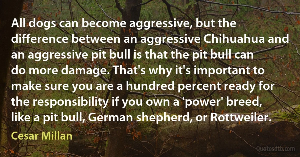 All dogs can become aggressive, but the difference between an aggressive Chihuahua and an aggressive pit bull is that the pit bull can do more damage. That's why it's important to make sure you are a hundred percent ready for the responsibility if you own a 'power' breed, like a pit bull, German shepherd, or Rottweiler. (Cesar Millan)