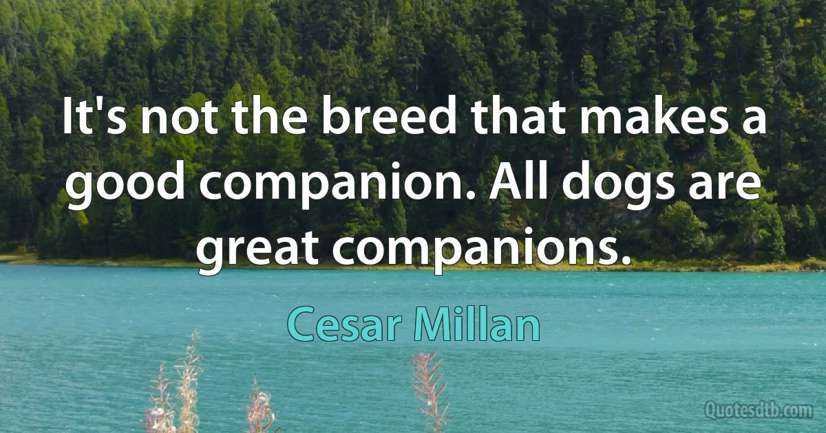 It's not the breed that makes a good companion. All dogs are great companions. (Cesar Millan)