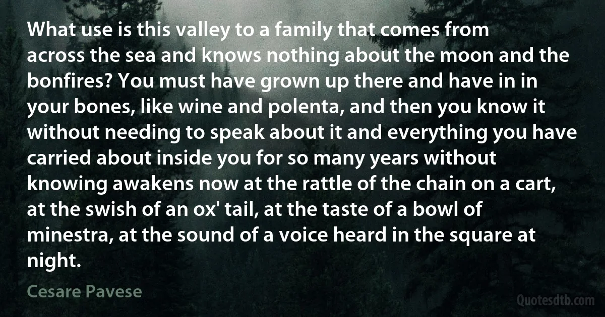 What use is this valley to a family that comes from across the sea and knows nothing about the moon and the bonfires? You must have grown up there and have in in your bones, like wine and polenta, and then you know it without needing to speak about it and everything you have carried about inside you for so many years without knowing awakens now at the rattle of the chain on a cart, at the swish of an ox' tail, at the taste of a bowl of minestra, at the sound of a voice heard in the square at night. (Cesare Pavese)