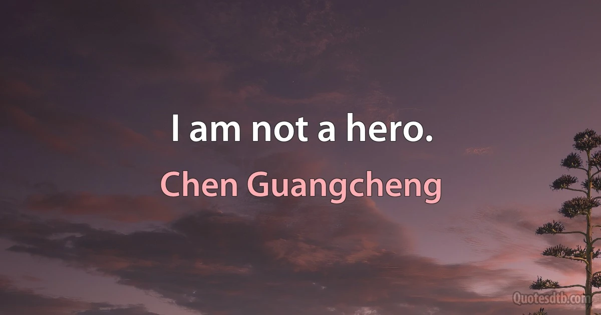 I am not a hero. (Chen Guangcheng)