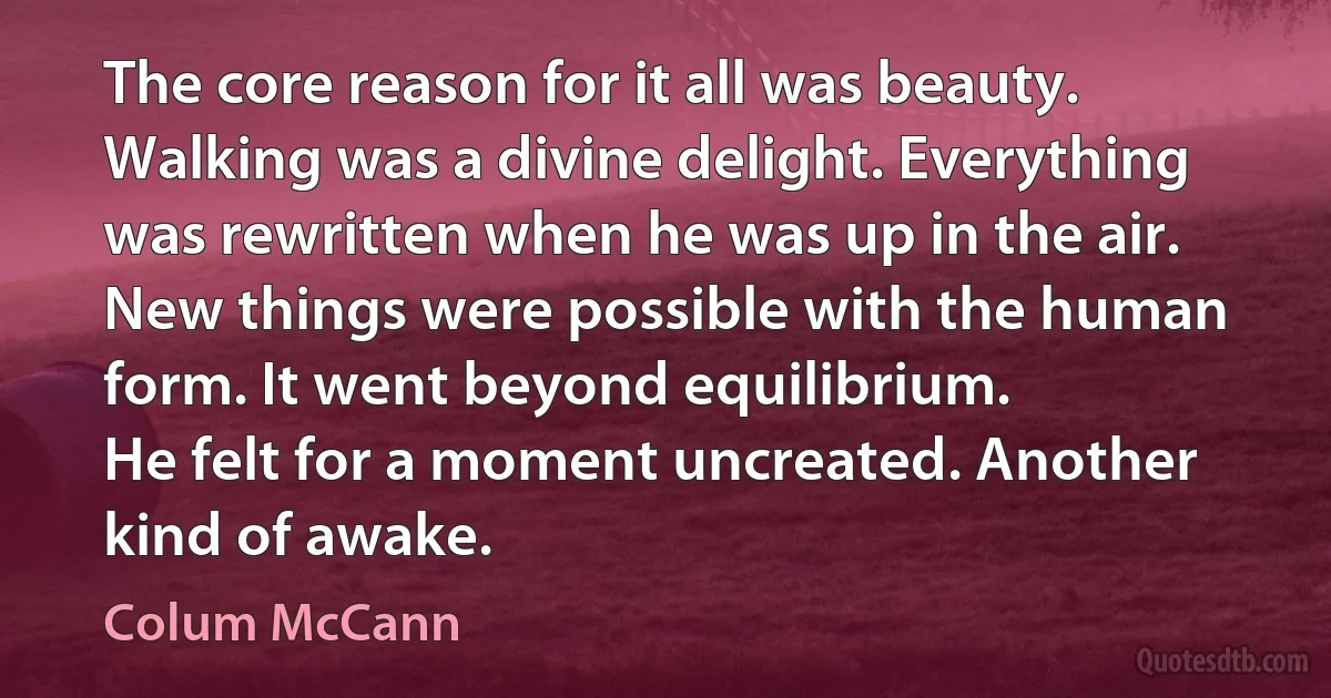 The core reason for it all was beauty. Walking was a divine delight. Everything was rewritten when he was up in the air. New things were possible with the human form. It went beyond equilibrium.
He felt for a moment uncreated. Another kind of awake. (Colum McCann)