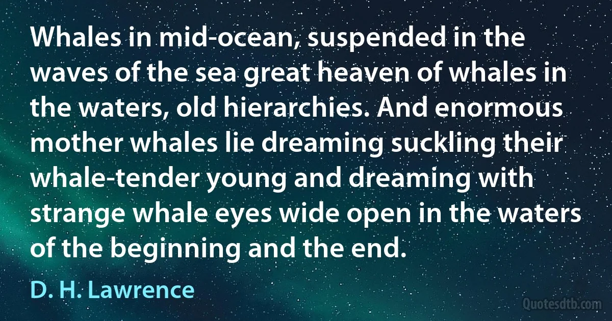 Whales in mid-ocean, suspended in the waves of the sea great heaven of whales in the waters, old hierarchies. And enormous mother whales lie dreaming suckling their whale-tender young and dreaming with strange whale eyes wide open in the waters of the beginning and the end. (D. H. Lawrence)