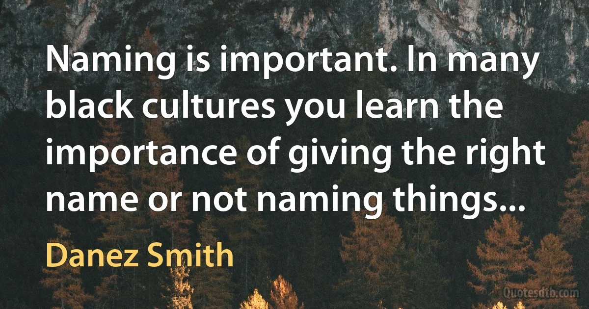 Naming is important. In many black cultures you learn the importance of giving the right name or not naming things... (Danez Smith)