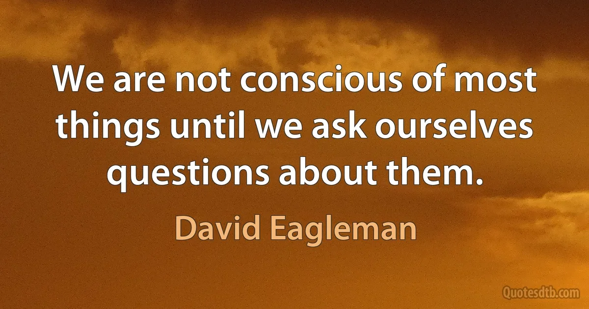 We are not conscious of most things until we ask ourselves questions about them. (David Eagleman)