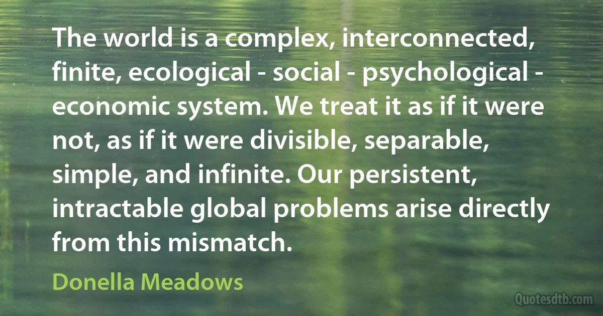 The world is a complex, interconnected, finite, ecological - social - psychological - economic system. We treat it as if it were not, as if it were divisible, separable, simple, and infinite. Our persistent, intractable global problems arise directly from this mismatch. (Donella Meadows)