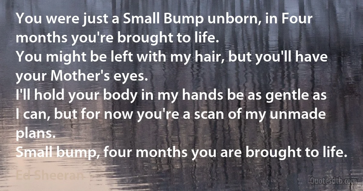 You were just a Small Bump unborn, in Four months you're brought to life.
You might be left with my hair, but you'll have your Mother's eyes.
I'll hold your body in my hands be as gentle as I can, but for now you're a scan of my unmade plans.
Small bump, four months you are brought to life. (Ed Sheeran)