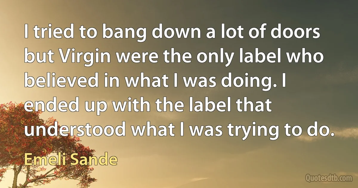 I tried to bang down a lot of doors but Virgin were the only label who believed in what I was doing. I ended up with the label that understood what I was trying to do. (Emeli Sande)