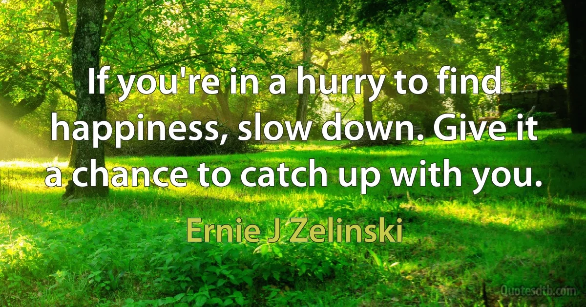 If you're in a hurry to find happiness, slow down. Give it a chance to catch up with you. (Ernie J Zelinski)