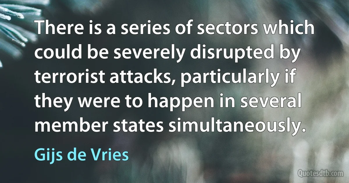 There is a series of sectors which could be severely disrupted by terrorist attacks, particularly if they were to happen in several member states simultaneously. (Gijs de Vries)