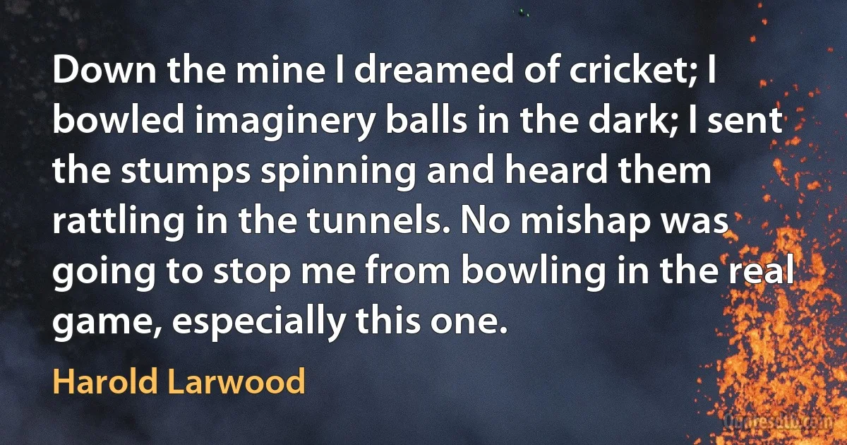 Down the mine I dreamed of cricket; I bowled imaginery balls in the dark; I sent the stumps spinning and heard them rattling in the tunnels. No mishap was going to stop me from bowling in the real game, especially this one. (Harold Larwood)