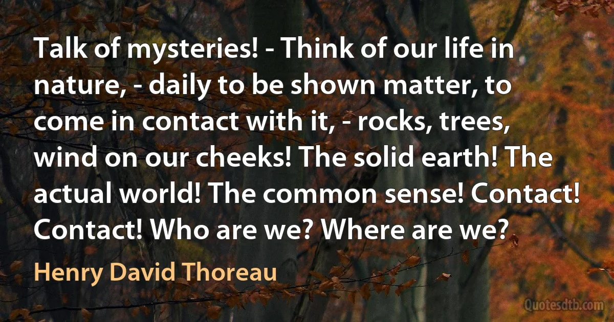 Talk of mysteries! - Think of our life in nature, - daily to be shown matter, to come in contact with it, - rocks, trees, wind on our cheeks! The solid earth! The actual world! The common sense! Contact! Contact! Who are we? Where are we? (Henry David Thoreau)