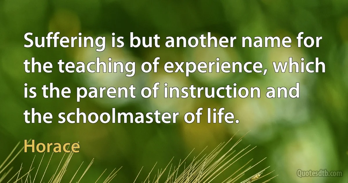 Suffering is but another name for the teaching of experience, which is the parent of instruction and the schoolmaster of life. (Horace)